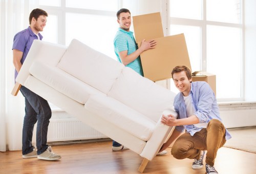 Tailored packing solutions for diverse moving needs